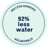 fish aquaponics