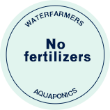 fish aquaponics