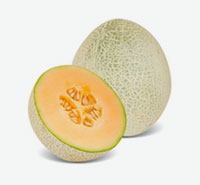 Melon