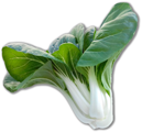 Pak Choi