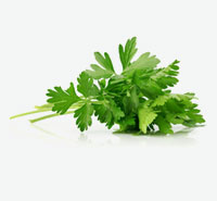 Parsley