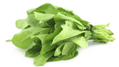 Spinach