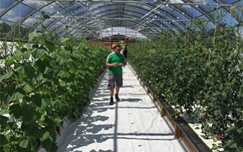 Toronto’s commercial aquaponics farm showcases “farming of the future”