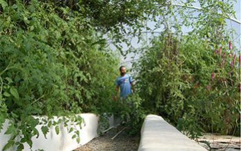 Global Aquaponics System Market 2017 : LivinGreen, Friendly Aquaponics, The Aquaponic Source, Waterfarmers Aquaponics