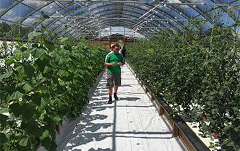 Toronto’s commercial aquaponics farm showcases “farming of the future”